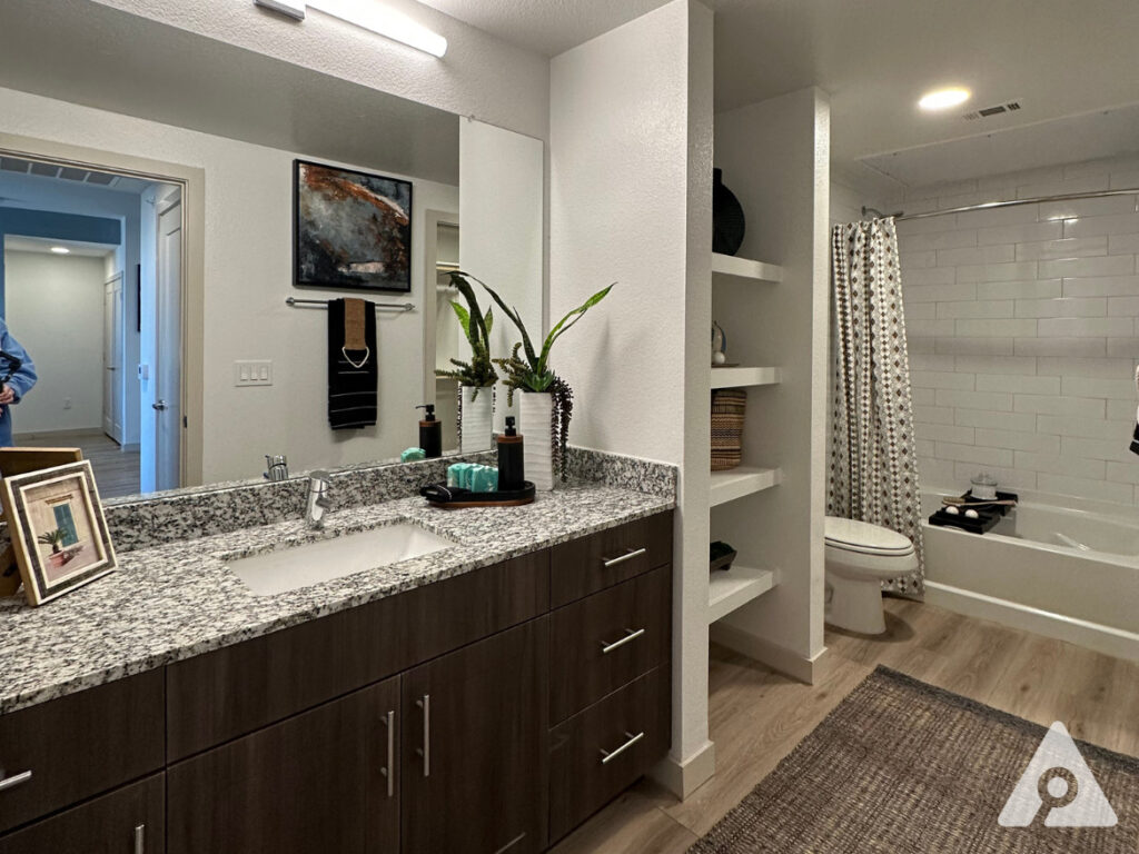 Dallas Apartment Bathroom