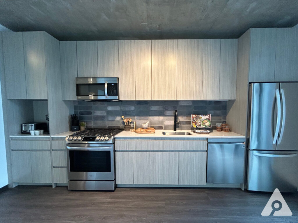 Chicago Apartment kitchen
