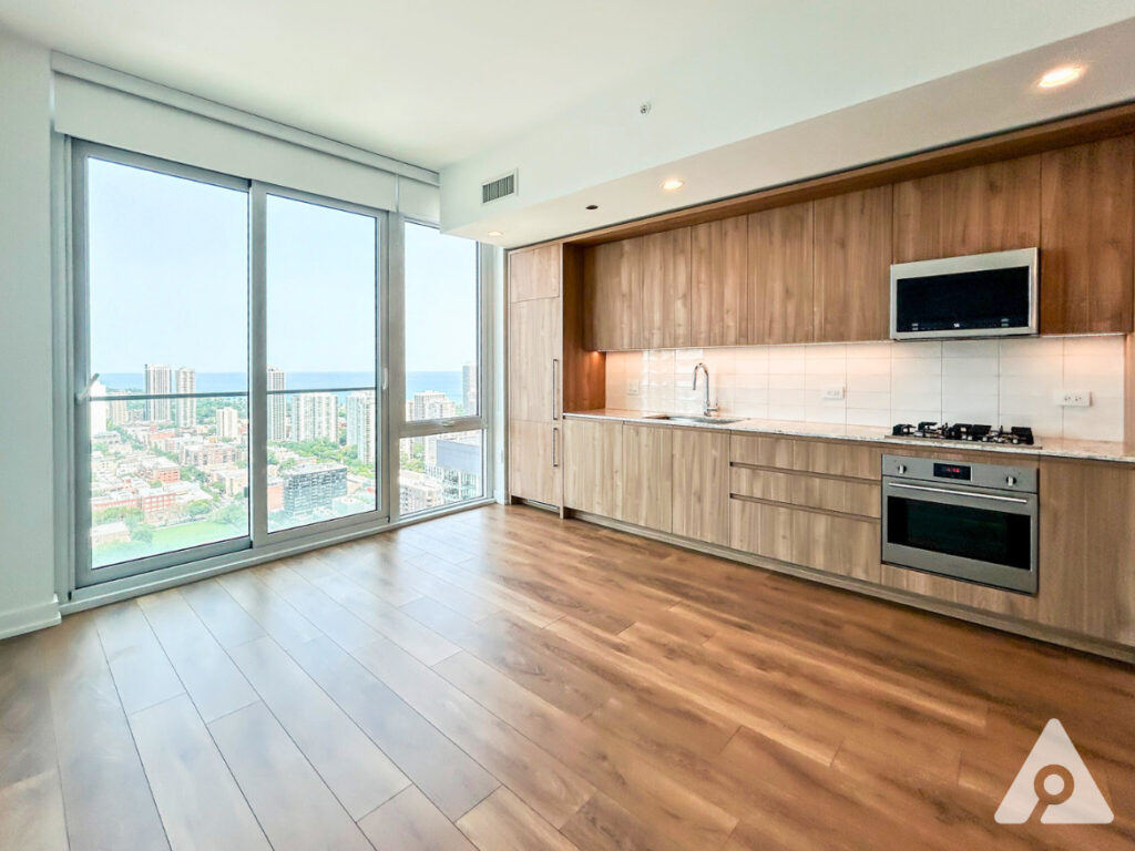 Chicago Apartment living room