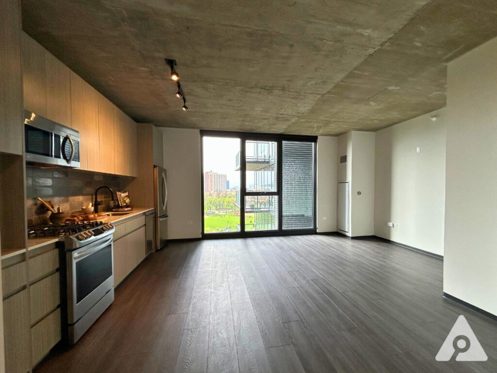Chicago Apartment living room