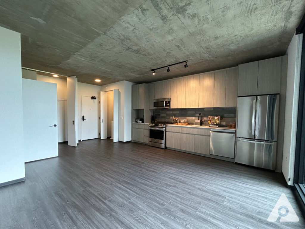Chicago Apartment living room