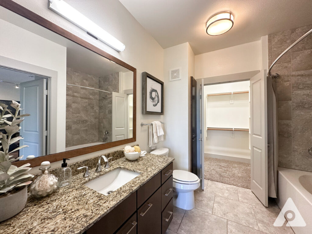 Dallas Apartment Bathroom
