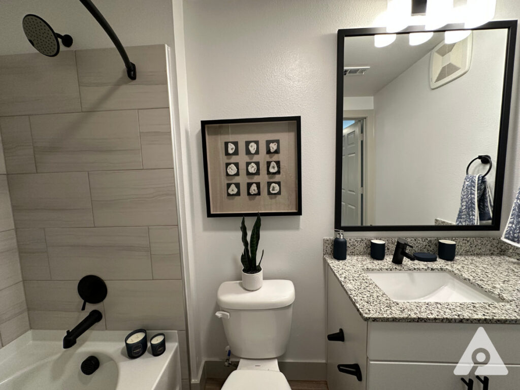 Dallas Apartment Bathroom