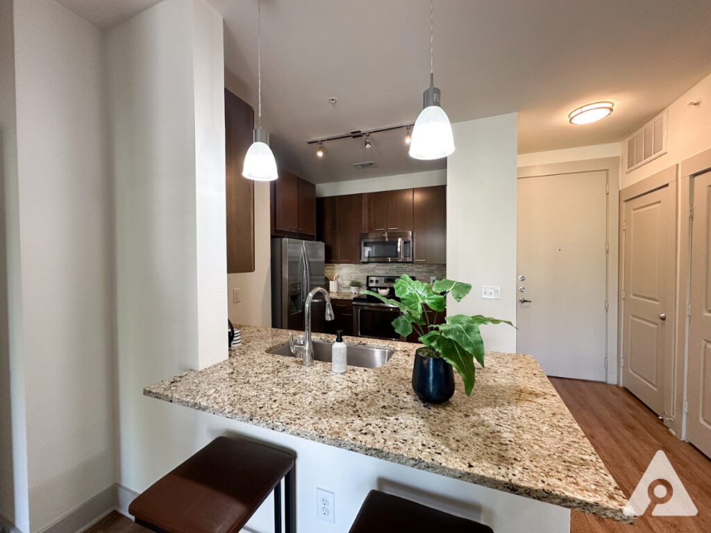 Dallas Apartment Kitchen