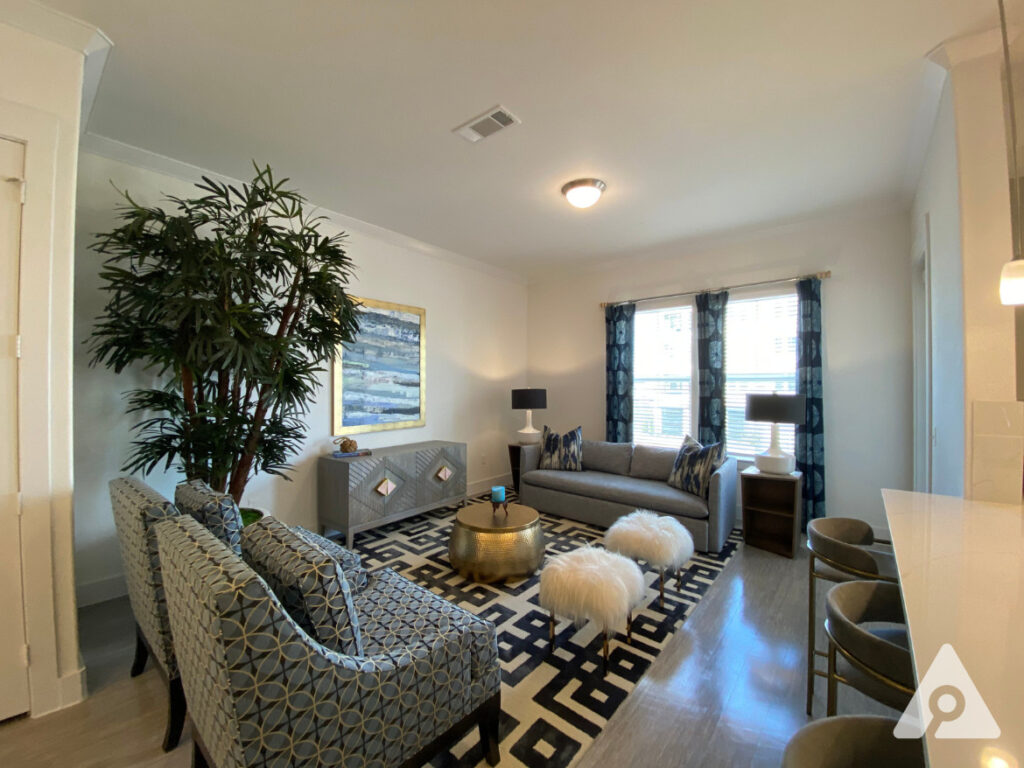 Dallas Apartment Living Room