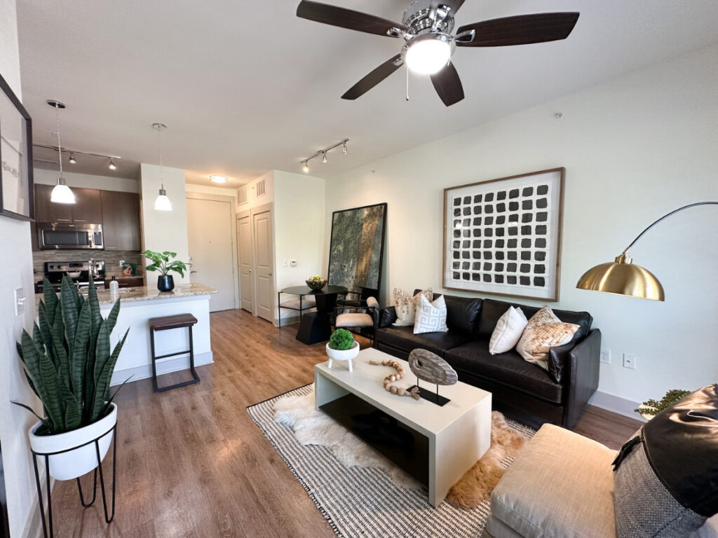 Dallas Apartment Living Room