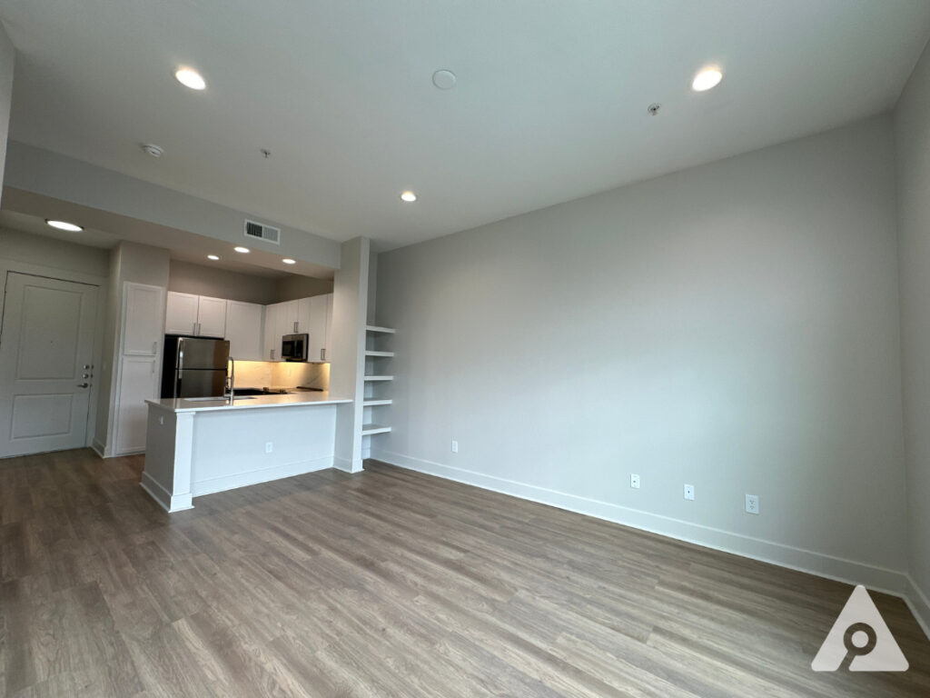 Dallas Apartment Living Room