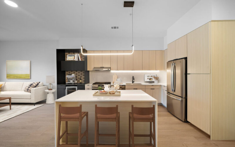 Houston Apartment 1