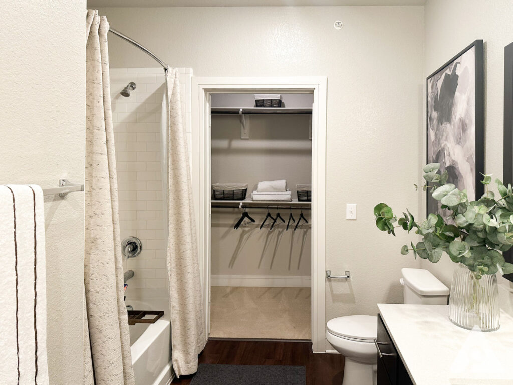 Houston Apartment - Bathroom (2)