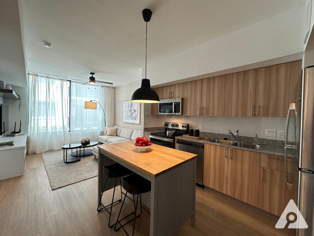 Houston Apartment Kitchen