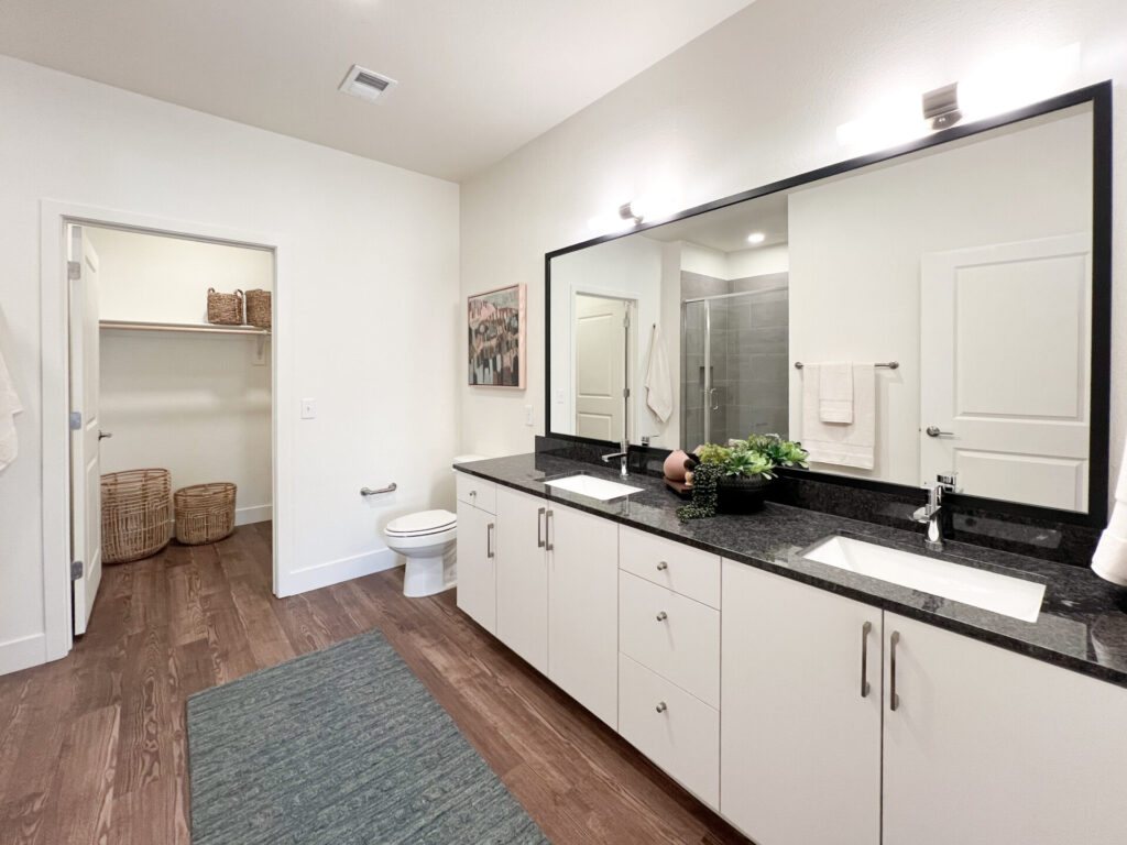 Denver Apartment - Bathroom