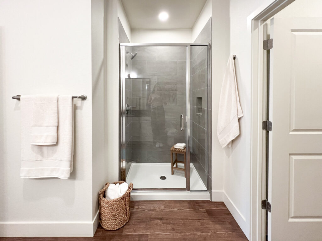 Denver Apartment - Bathroom with Glass Pa