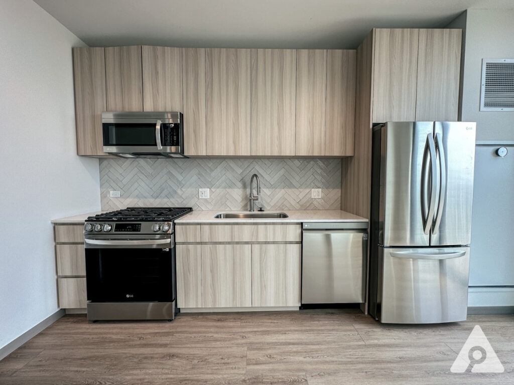 Chicago Apartment kitchen