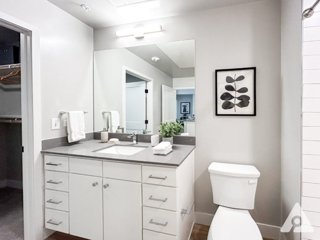 Denver Apartment - Bathroom