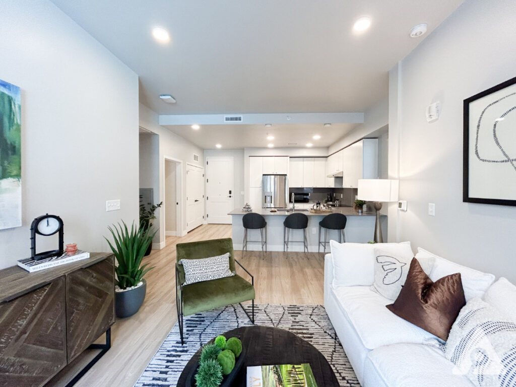 Denver Apartment - Living Room