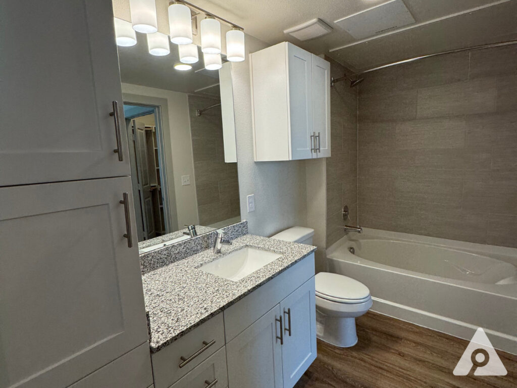 Saginaw Apartment Bathroom