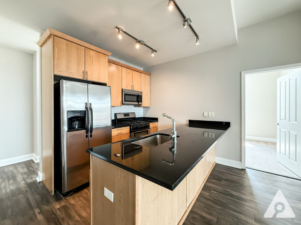 Chicago Apartment kitchen