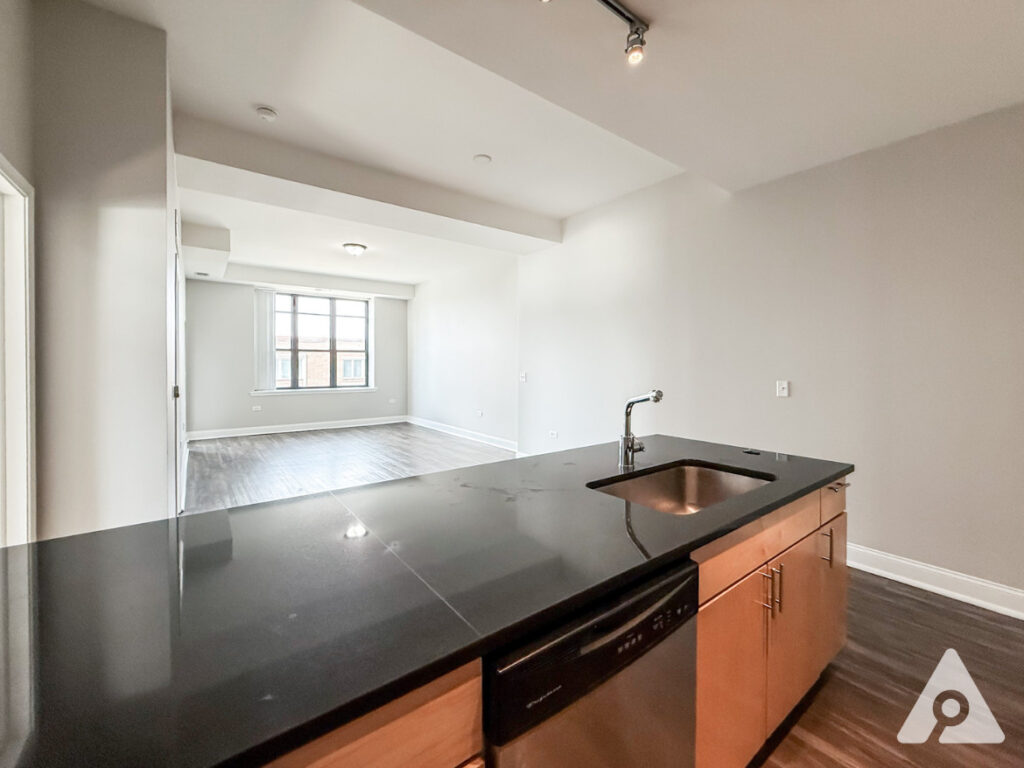 Chicago Apartment kitchen