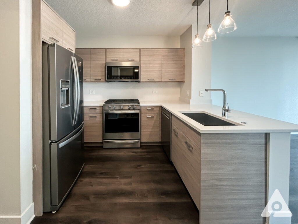 Chicago Apartment kitchen