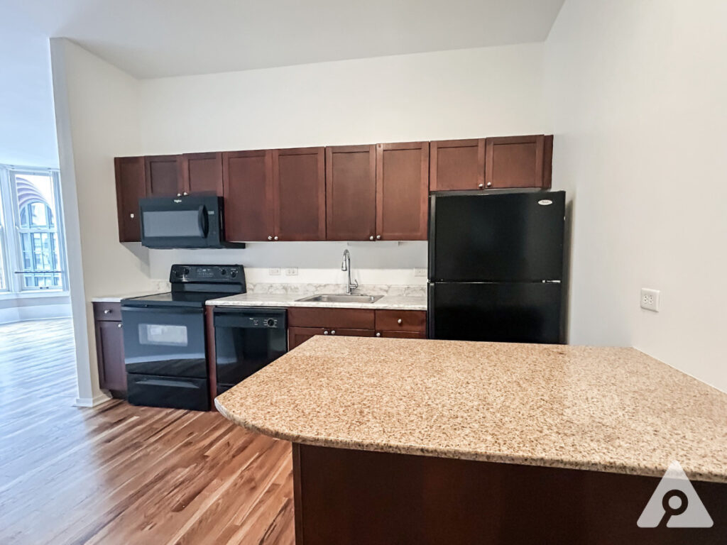 Chicago Apartment Kitchen