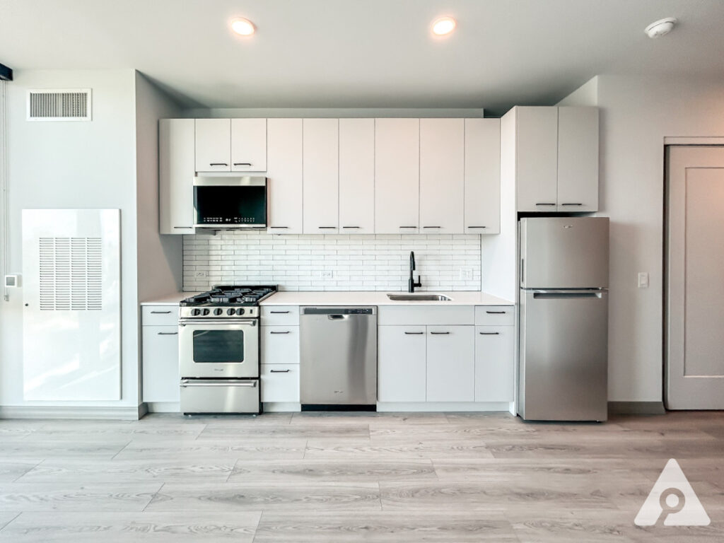 Chicago Apartment kitchen
