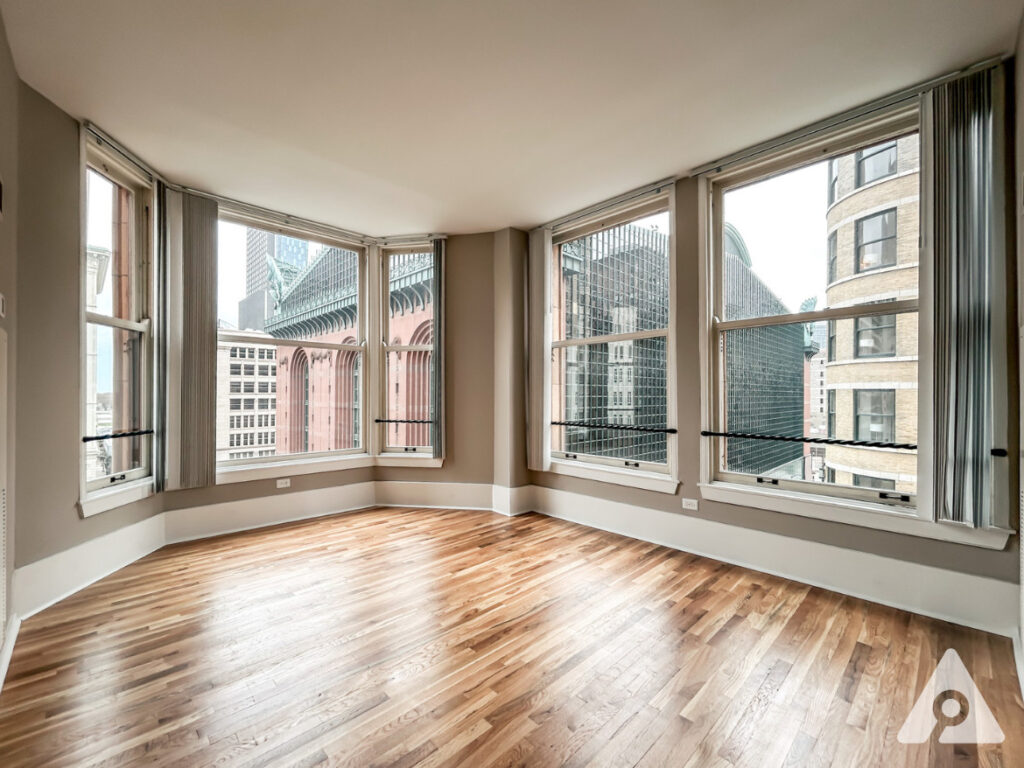 Chicago Apartment living room