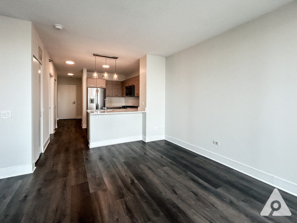 Chicago Apartment living room