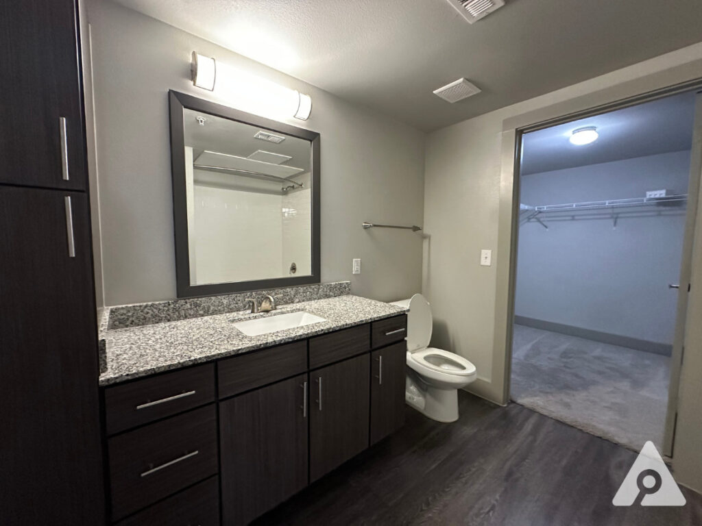 Dallas Apartment Bathroom