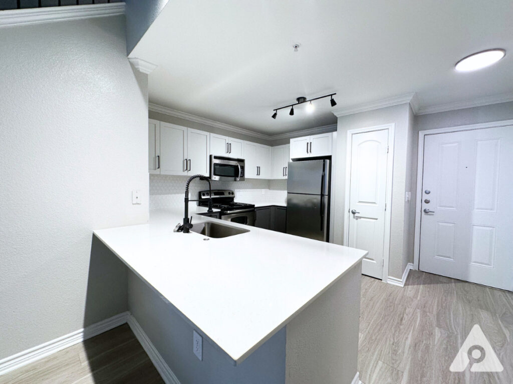 DalDallas Apartment Kitchenlas Apartment Kitchen