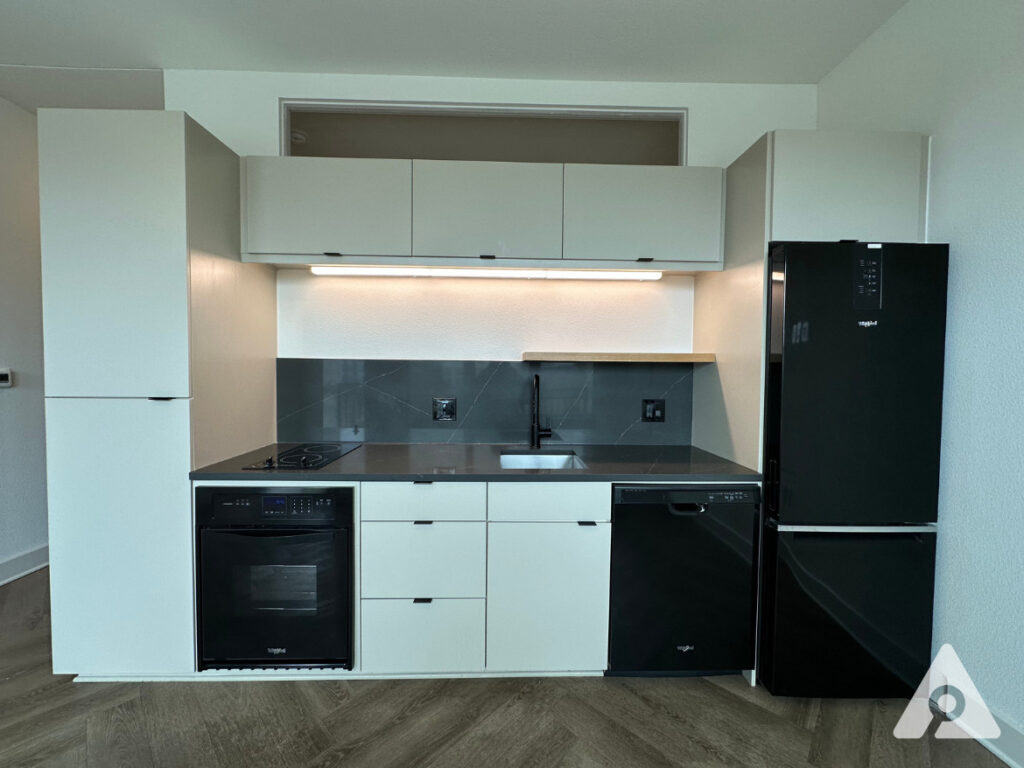 Dallas Apartment Kitchen