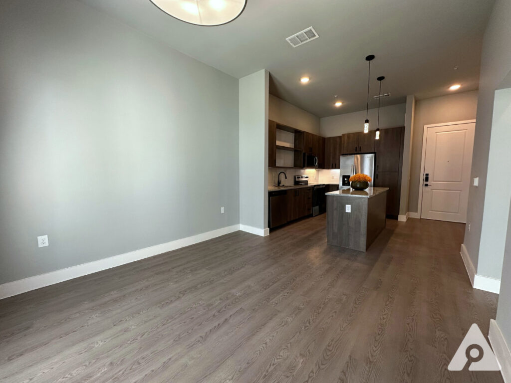 Dallas Apartment Living Room