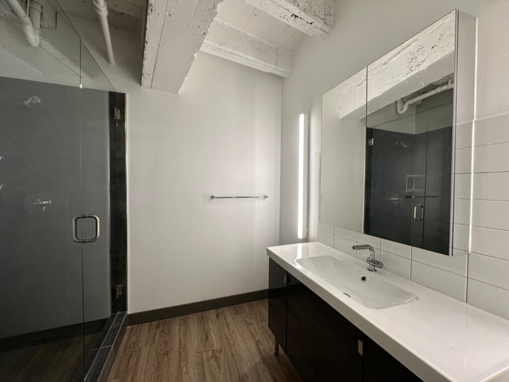 Dallas Apartment Primary Bathroom