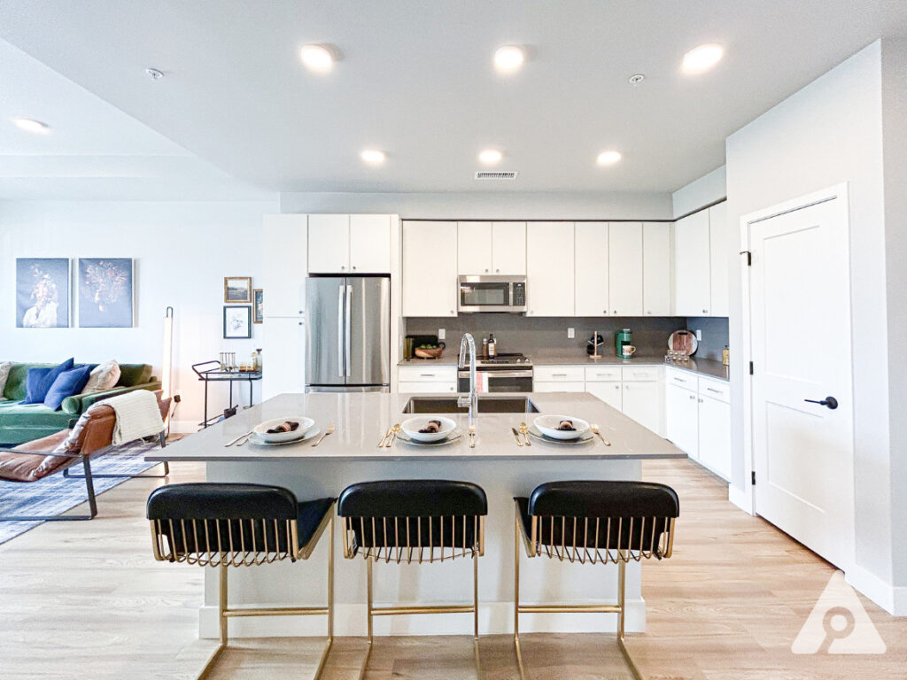 Denver Apartment Kitchen