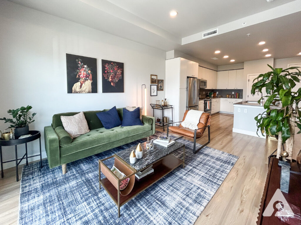 Denver Apartment Living Room