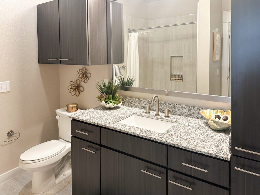 Houston Apartment - Bathroom