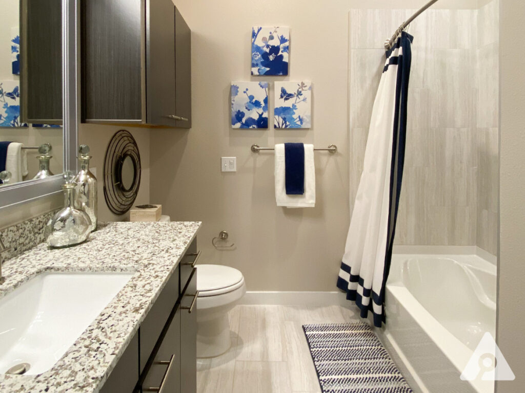 Houston Apartment - Bathroom (2)
