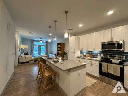 East Austin Apartment Kitchen