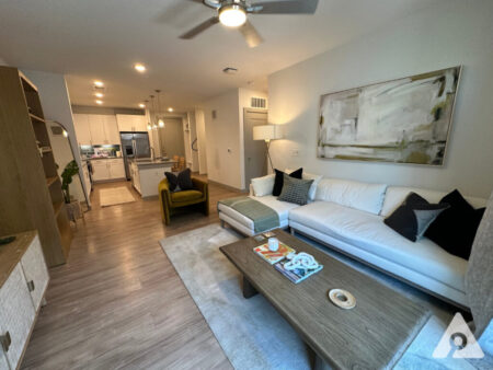 East Austin Apartment Living Room