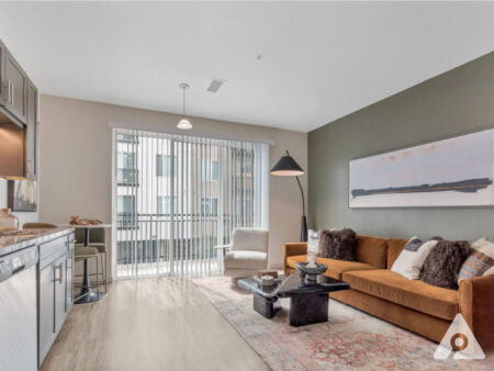 Denver Apartment - Living Room