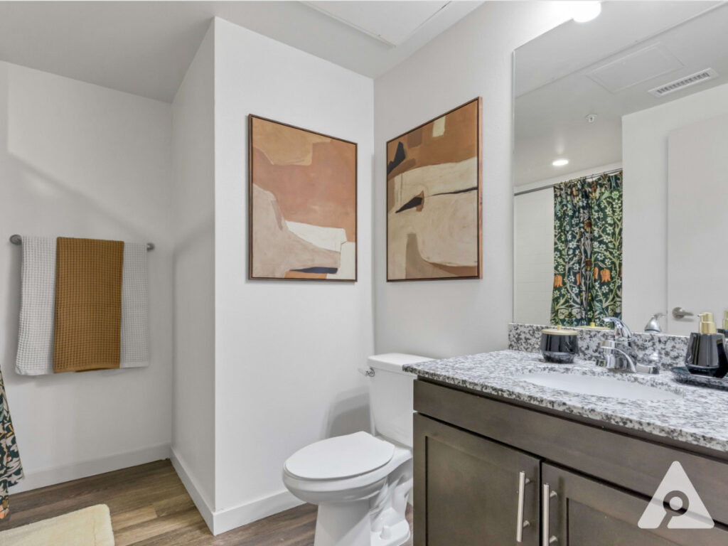 Denver Apartment - Bathroom