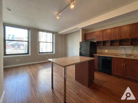 Chicago Apartment Kitchen