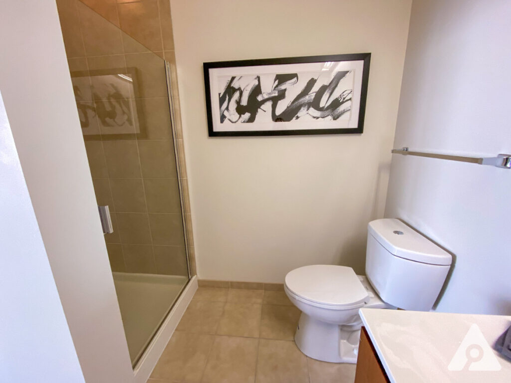 Chicago Apartment bathroom