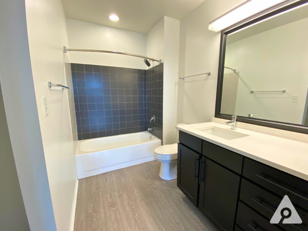 Chicago Apartment bathroom