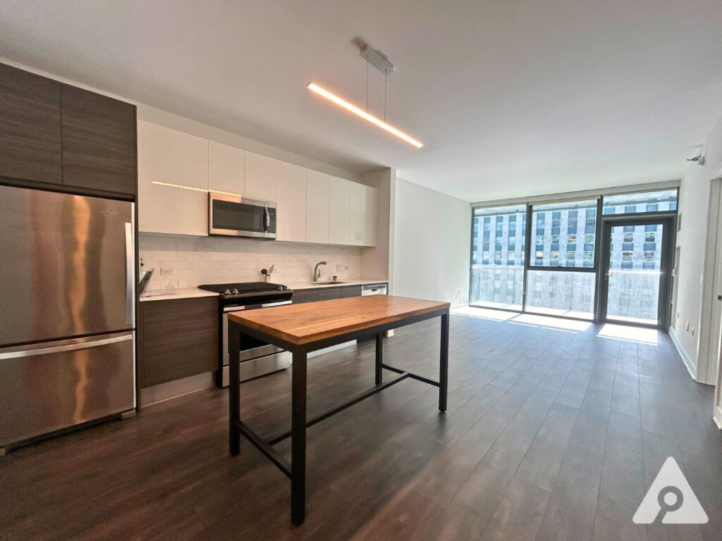 Chicago Apartment kitchen