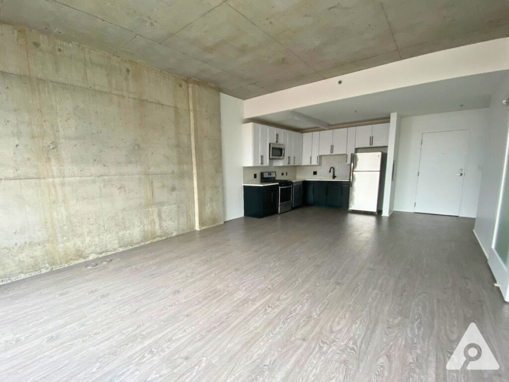 Chicago Apartment kitchen