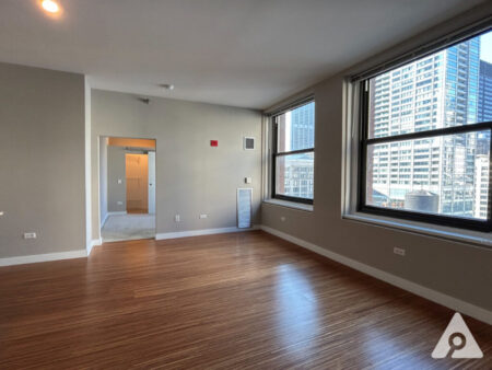 Chicago Apartment living room