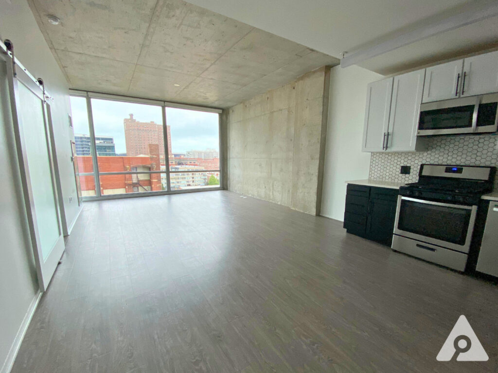 Chicago Apartment living room
