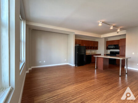 Chicago Apartment living room