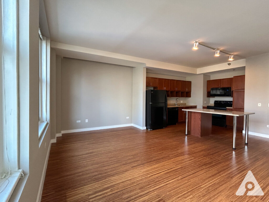 Chicago Apartment living room