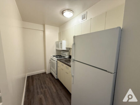 Chicago apartment kitchen